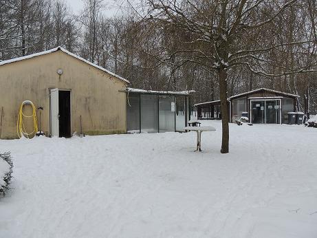 Dimanche 20 janvier 2013, le refuge sous la neige. 1er_ja15