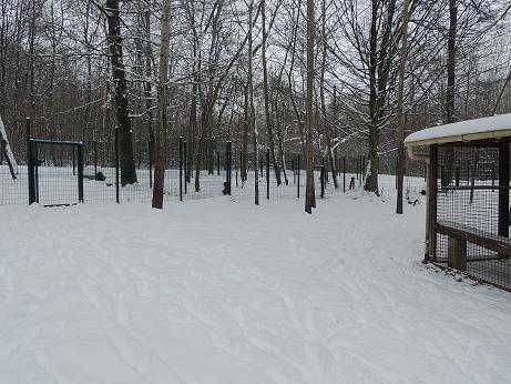 Dimanche 20 janvier 2013, le refuge sous la neige. 1er_ja17