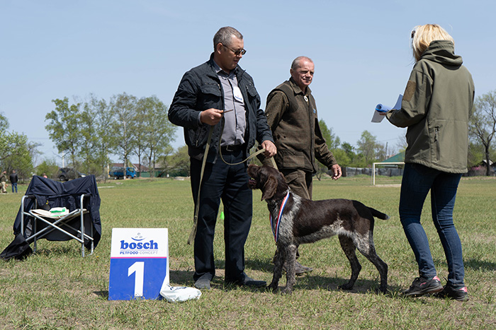 Национальная выставка "Немецкий дратхаар", 12.05.2019, г.Владивосток Dsc00821