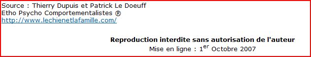 Chien infernal depuis que je suis en maison Captur14