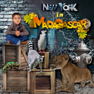 MADAGASCAR IN NEW YORK - lundi 26 septembre / monday septemeber 26th Ks_mad15