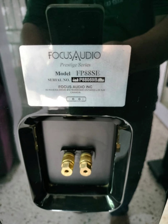 Focus Audio FP88SE - SOLD Focus_10