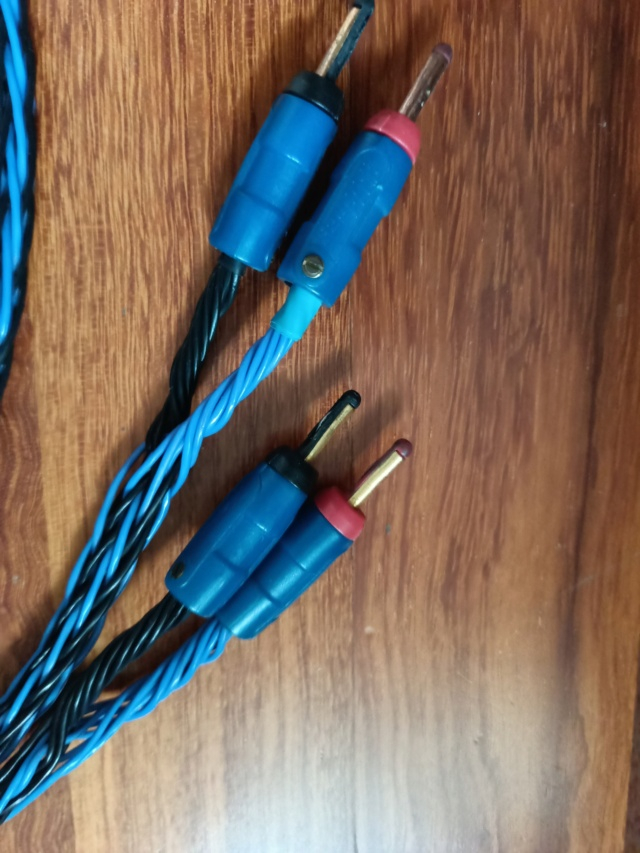 Kimber 8TC Speaker Cables 10' Price Reduced Img20283
