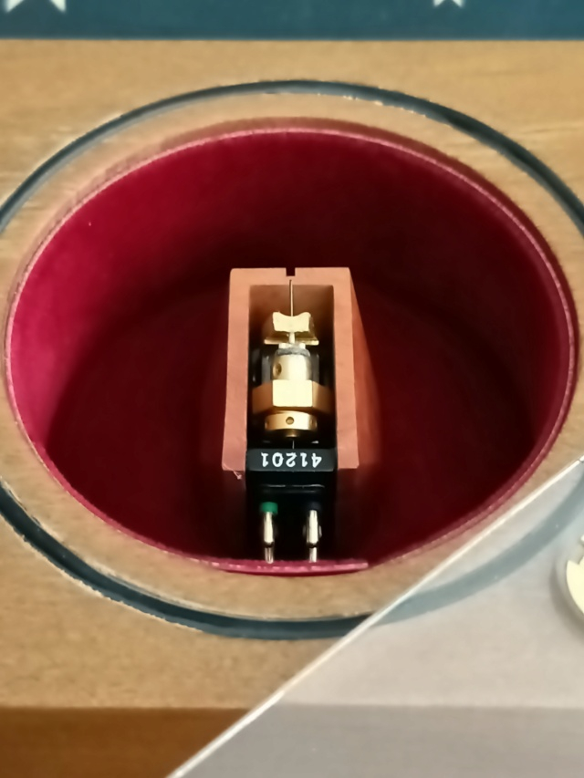 Benz Micro Wood SM - MC Cartridge Img20287