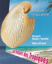 Musées de coquillages Museec10