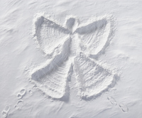 una considerazione per tutti noi... Snowan10