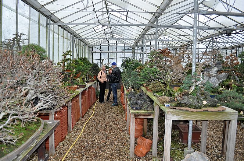 MY VISIT TO THE DESHIMA BONSAI STUDIO (NL) FOR THE ONE YEAR ANNIVERSARY OF THE BONSAI CAFE. 5-1-2016