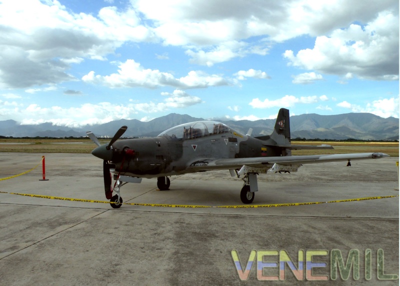 Entrenadores - Página 9 Tucano10