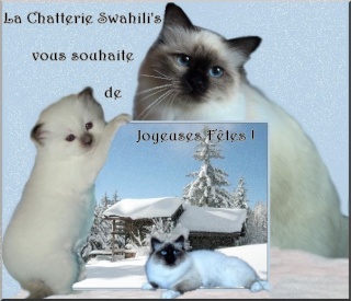 Joyeuses fêtes de fin d'année Carte210