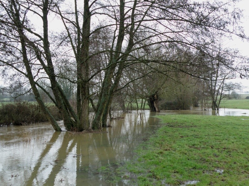 Janvier... mois des inondations Vauvar27