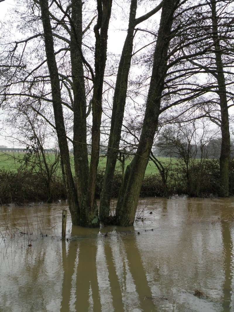 Janvier... mois des inondations Vauvar28