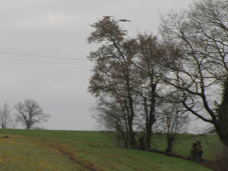 Janvier... mois des inondations Vauvar30