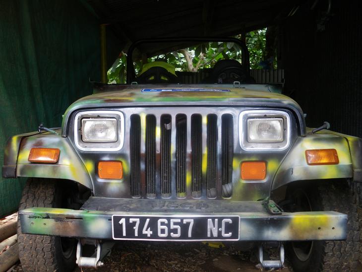 VENDU Jeep YJ 2.5L à restaurer Imgp0210