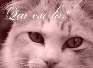 Qui est en ligne ?