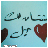 صورة شخصية 24 صورة شخصية 24
