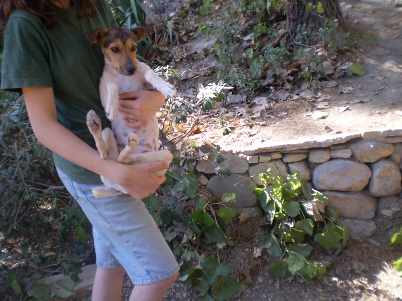 Mosela, petite chienne sauvée de fourrière d'espagne  Mosela11