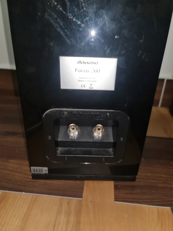 Dynaudio Focus 260 speaker (Used) 20230318