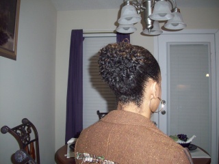 nmoultry hair journey - Page 5 Decemb11