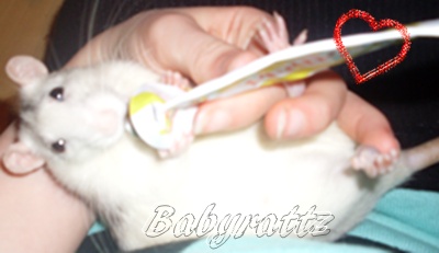 Bearbeitete Bilder! Baby10