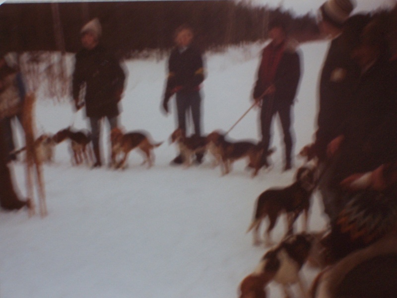 chien de chasse aux lievres 103_0915