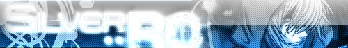 Galeria Silver Ro! Banner10