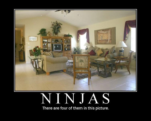 Funny Pictures! Ninjas10