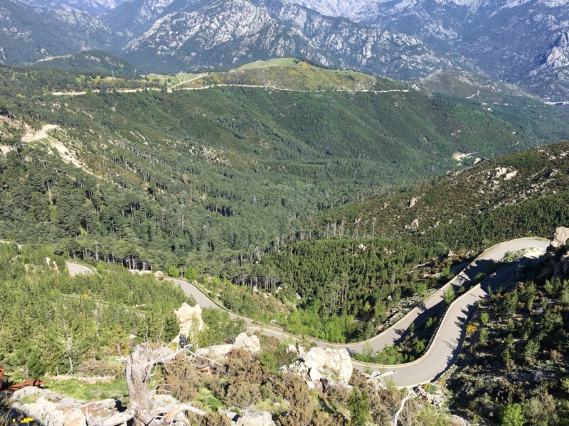 LA CORSICA 2019 - Page 3 4c63c810