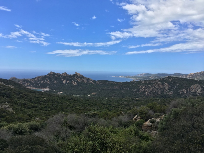 LA CORSICA 2019 B6eedb10