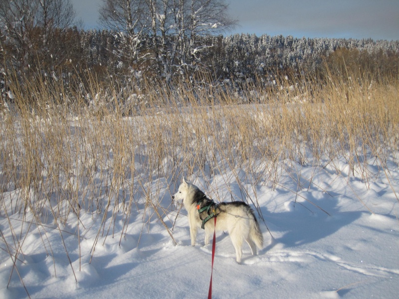 Nouvelles courses de Saskia dans la neige 2610