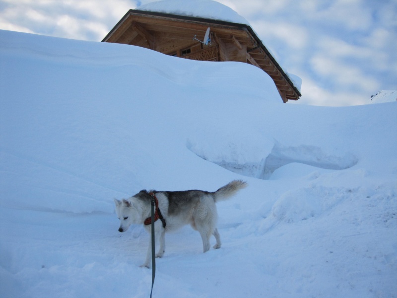 Nouvelles courses de Saskia dans la neige - Page 2 3511