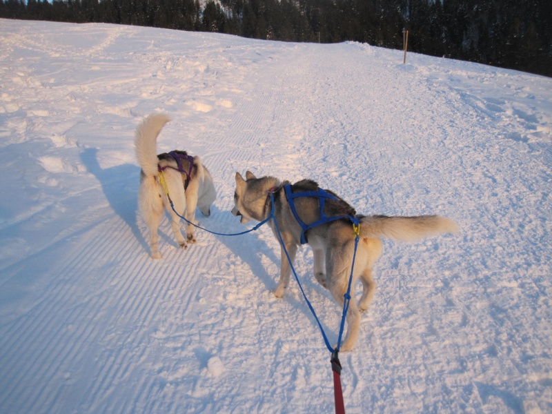 Saskia et Jiro, partie 2 820