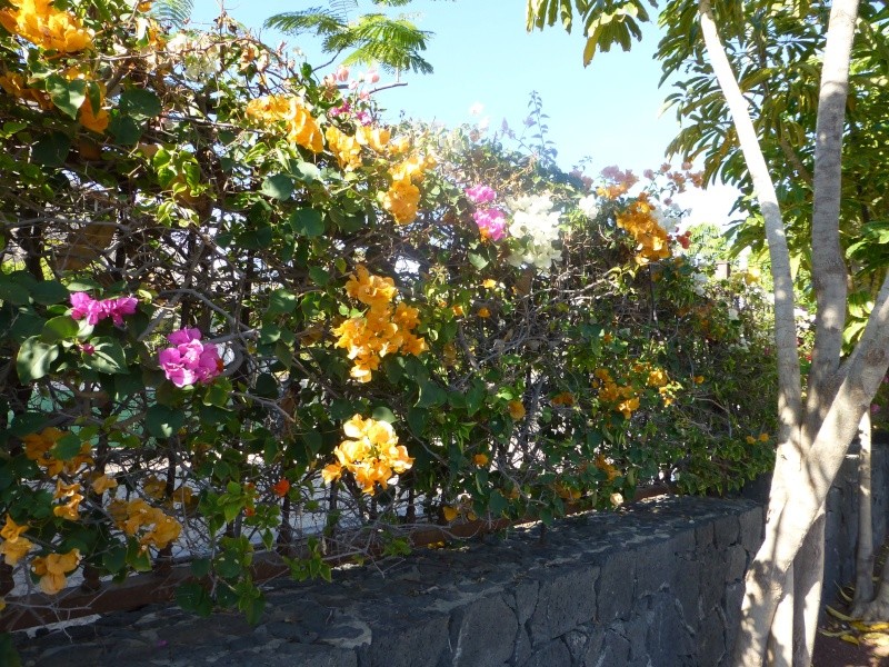 Canary Islands, Lanzarote, Playa Blanca, 2012, Walk from Dorada beach through Town 87010