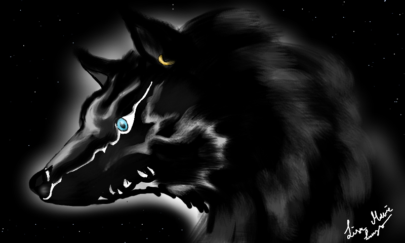 Dark Wolf      Hni_0012
