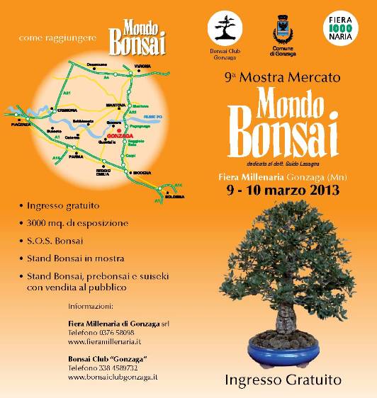 "Mondo Bonsai 2013" dal 9 al 10 marzo 2013 a Gonzaga Mb201310