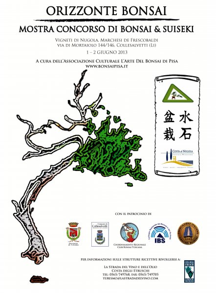 Orizzonte Bonsai -Livorno  Page_010