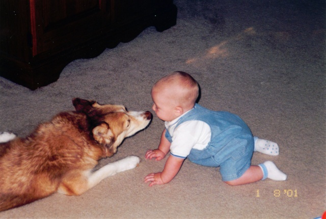 In memory of my beautiful Sandy - 1989-2007 Wesley10