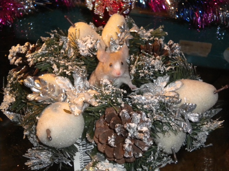 [Décembre 2012] Les souris fêtent Noël 1_mlle10