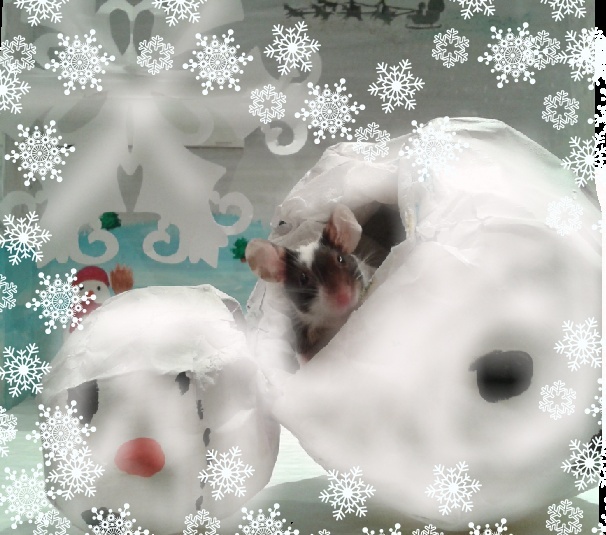 [Décembre 2012] Les souris fêtent Noël 3_aria10