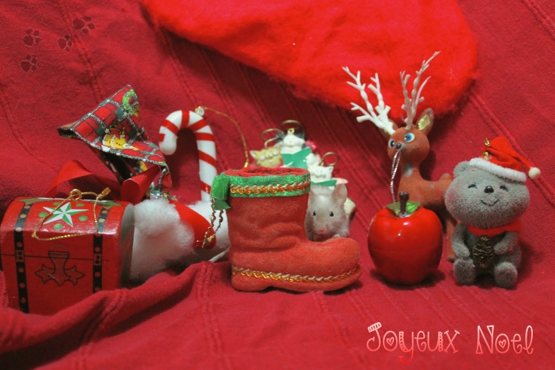 [Décembre 2012] Les souris fêtent Noël 4_miss10