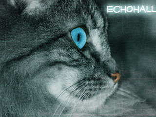 Echohall Echoha10