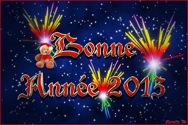 Résolution 2013 Voeux-10