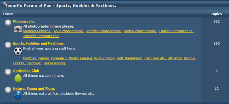 The list of topics appears only for every single (sub-) forum, but not for the category. Captur43