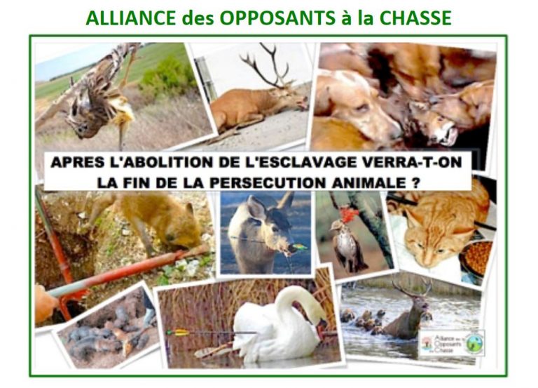 E-manifestation du 18.9.2021 de 10h. à 20h. CONTRE LES LOISIRS DE MORT ET DE  TORTURE DES ANIMAUX   E-mani10