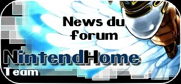 La Gazette Nintendhome : Seconde partie de Janvier - 2013 Fqits_11