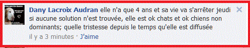 box 73 Xlabrador/malinoise femelle 4 ans bethune EUTHA PROGRAMMEE 7 FEVRIER Dafne12