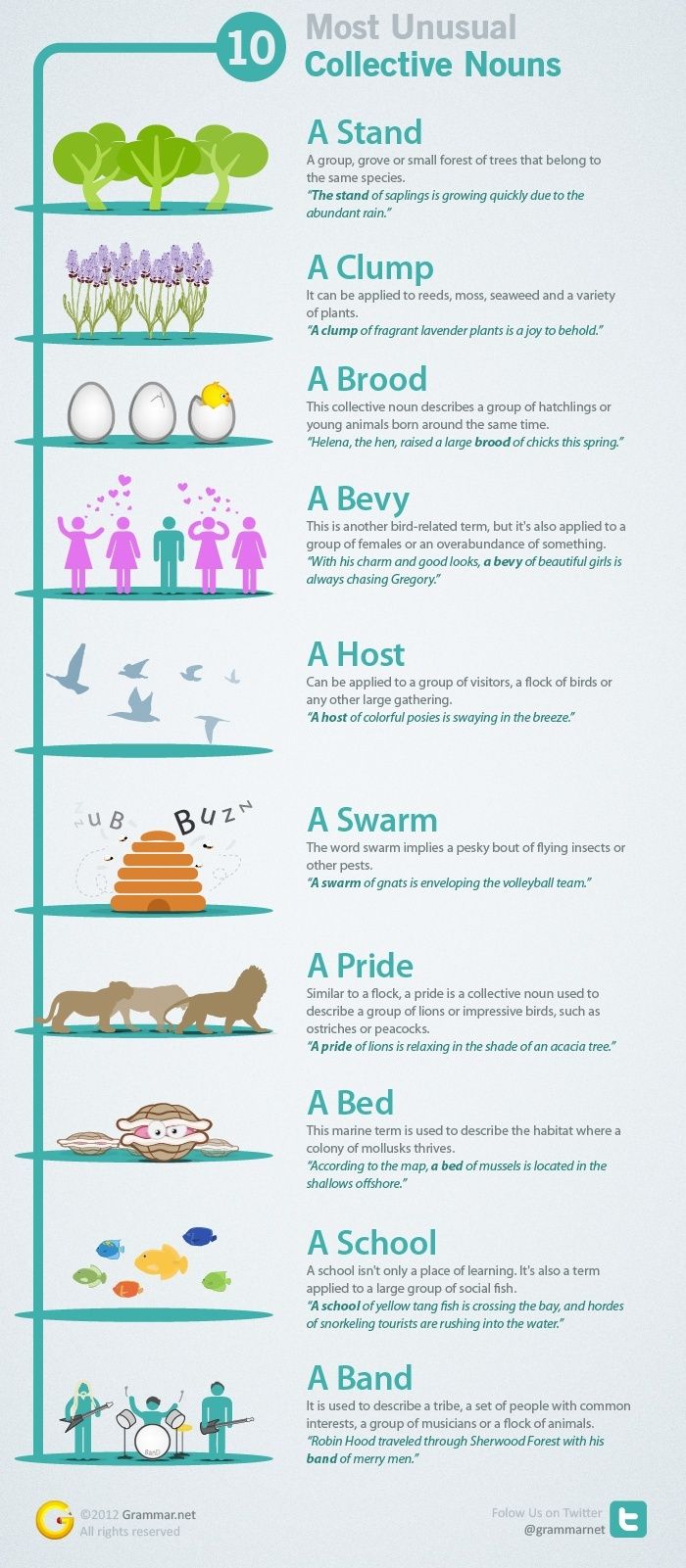 10 Most Unusual Collective Nouns Revealed and Explained 10-col10