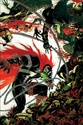 SPAWN : LA SAGA INFERNALE (librairie Delcourt) - Page 2 Spawn223