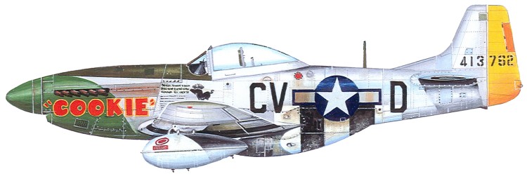 La chute du 3ème Reich : Prologue de série : P-51 D-20 Airfix 1/72ème Cv-dpr10