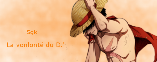 Galerie de Sgk (début) Luffy11