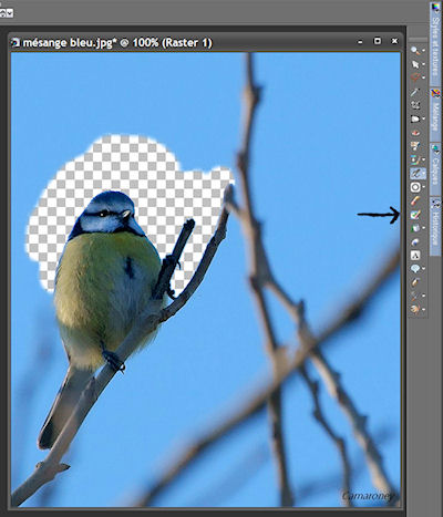 montage hors cadre - Réaliser une photo hors-cadre avec Paint shop pro Tuto_110